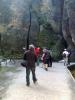 2012-05-adrspach